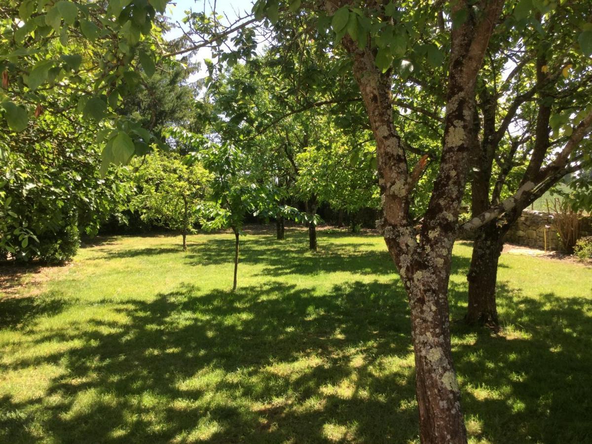 Bed and Breakfast Les Noyers Aulnay Aulnay  Zewnętrze zdjęcie